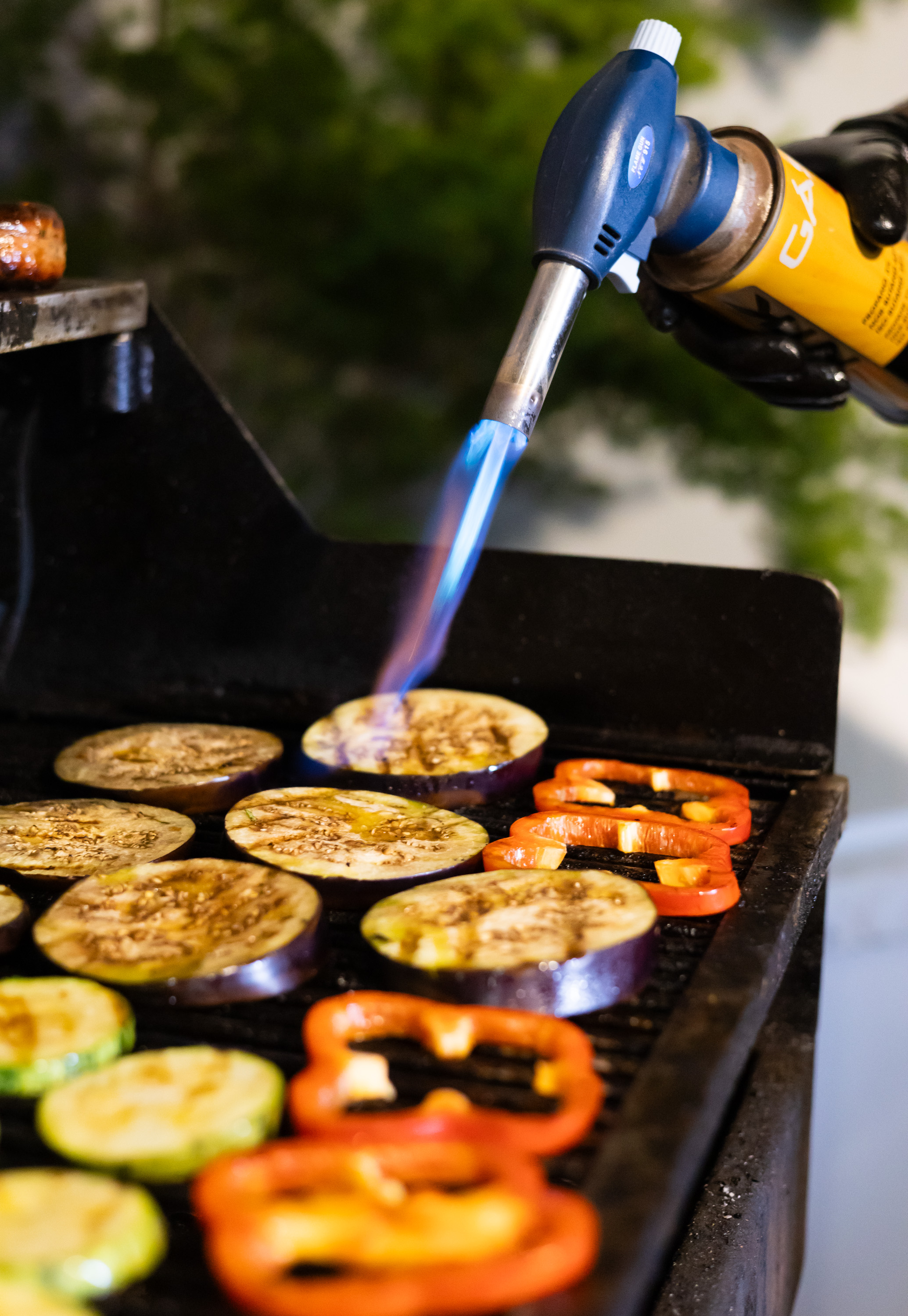 Opções vegetarianas